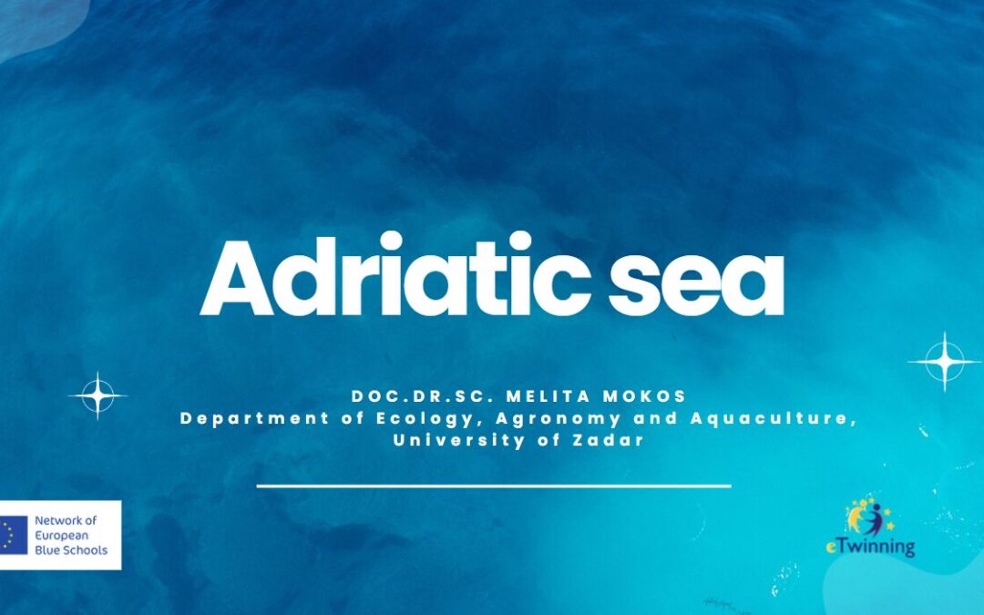 Plave škole u učionici: Kreativna radionica o bioraznolikosti i održivosti