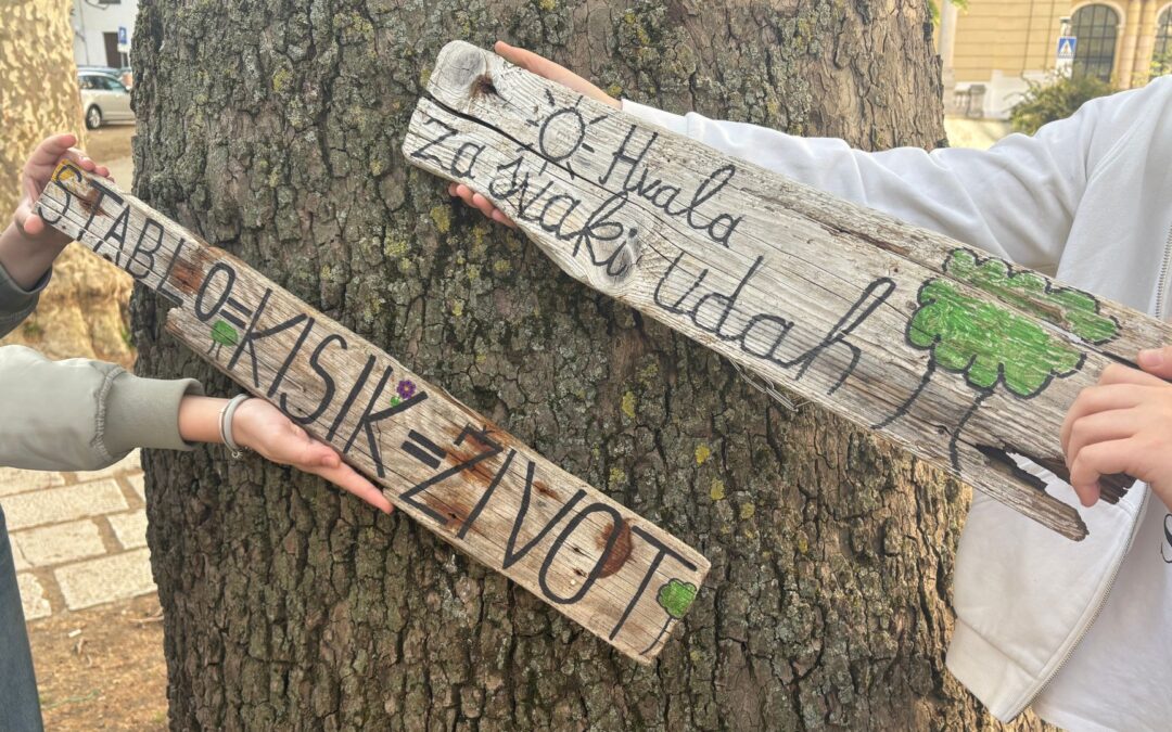 Koliko kisika proizvode stabla u našem školskom dvorištu?